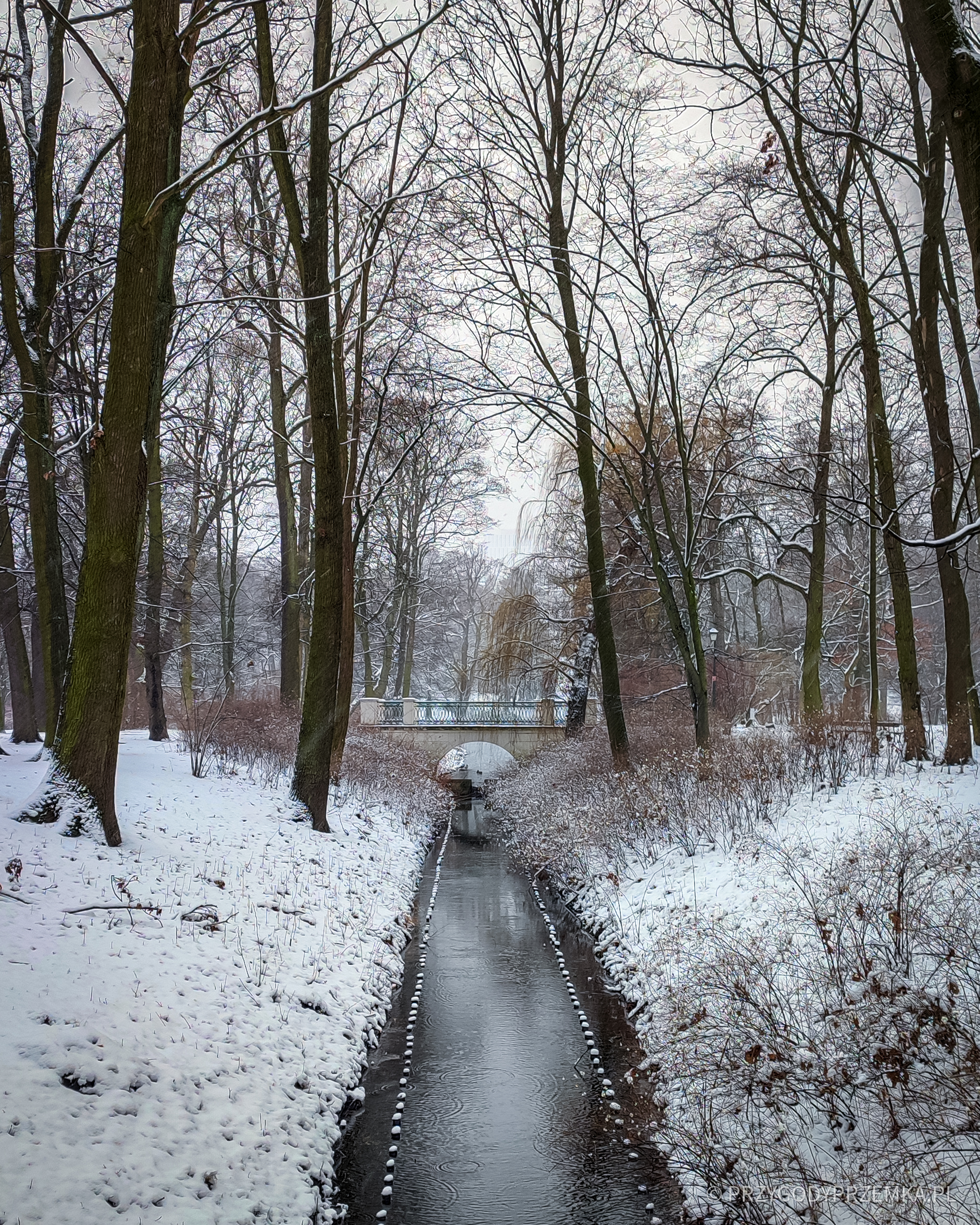 Zima w Łazienkach Królewskich